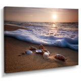 Waves Approaching Seashells on Sand