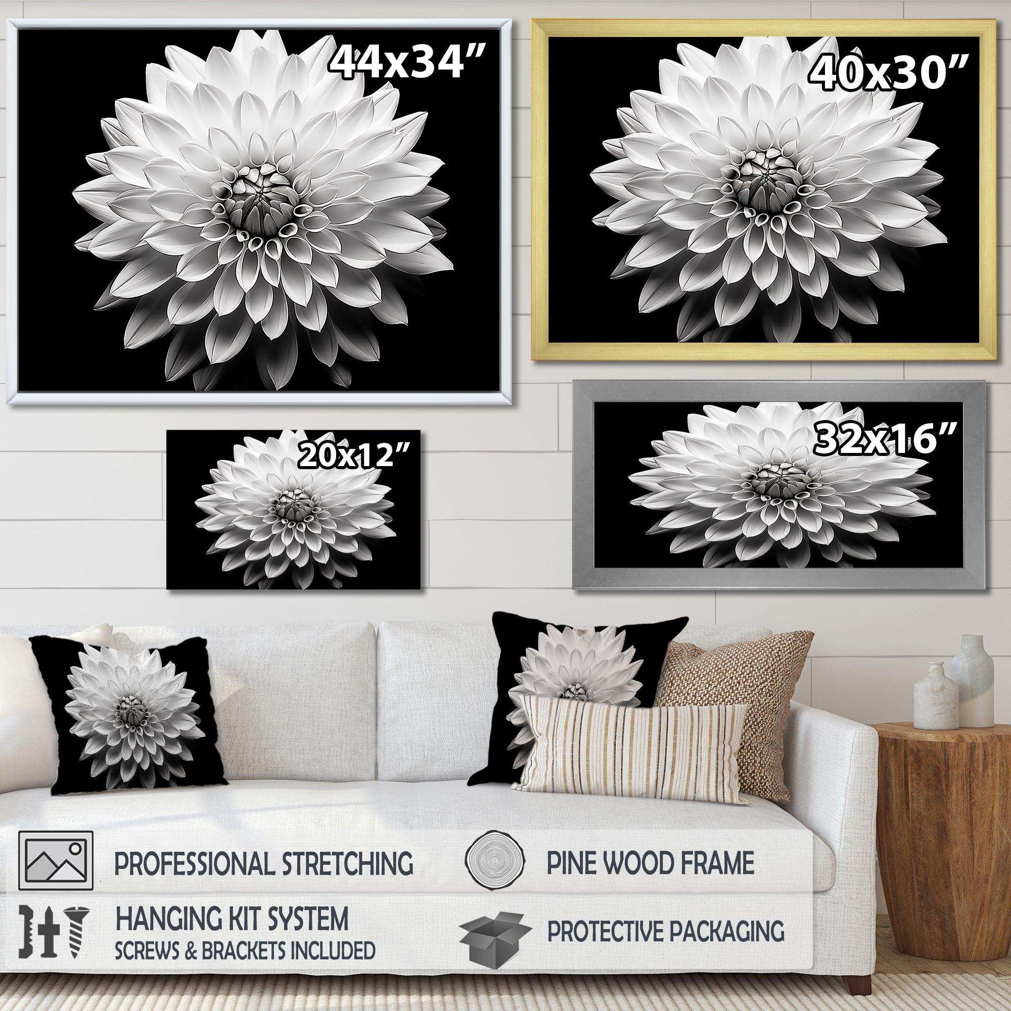 Dahlia In Monochrome Black And White - Floral Canvas Wall Art