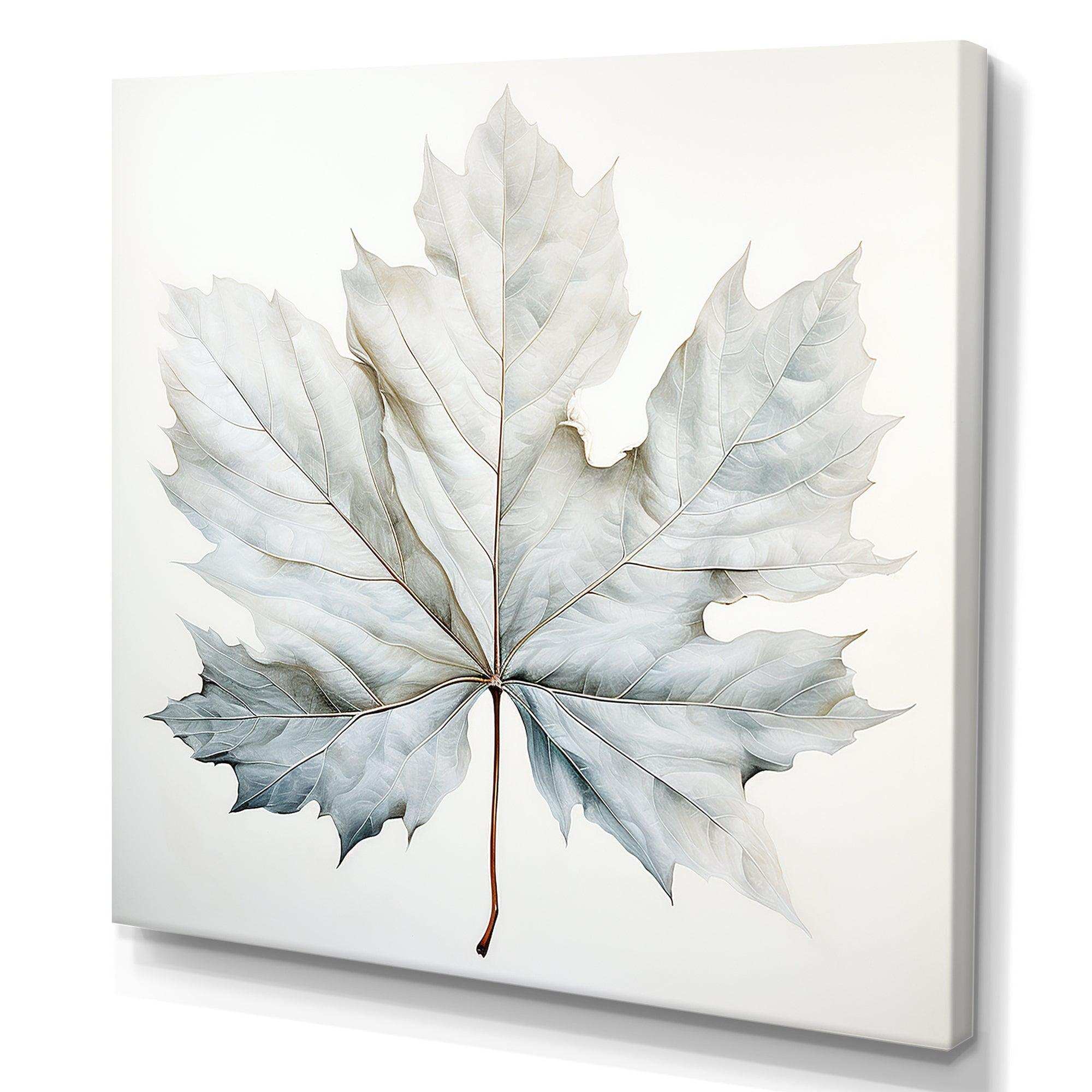 Silver Sycamore Leaf I - Floral Canvas Wall Art