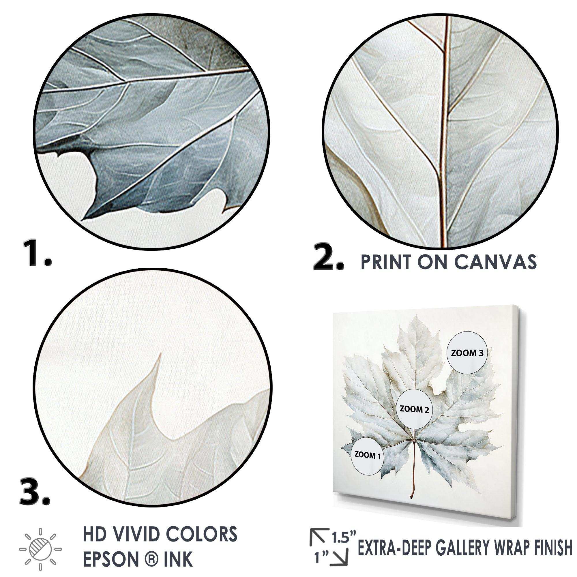 Silver Sycamore Leaf I - Floral Canvas Wall Art