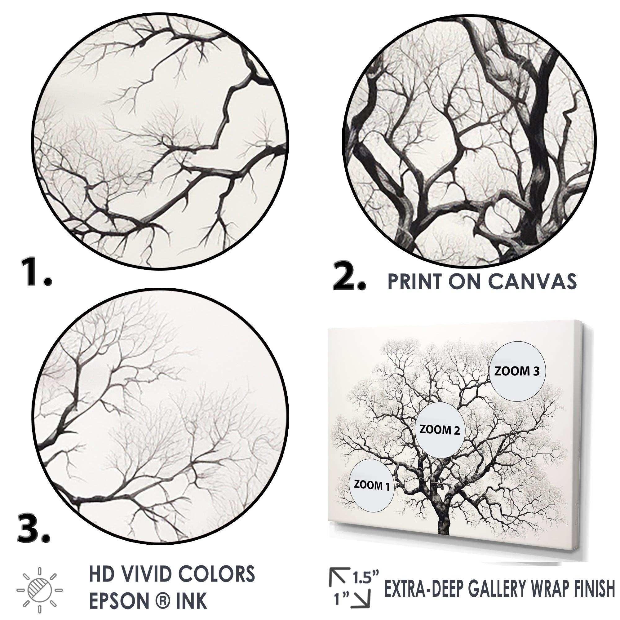 Minimalism Black And White Trees Oak - Floral Canvas Wall Art