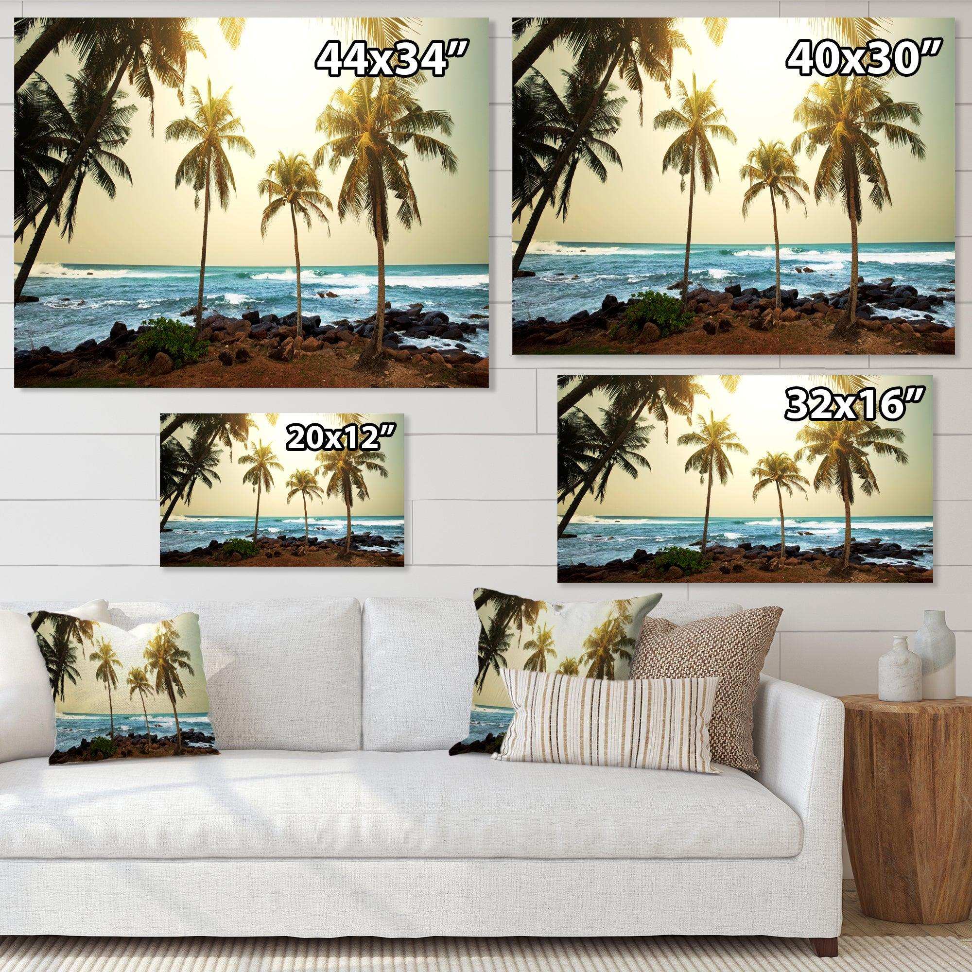 Rocky Tropical Beach with Palms