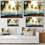 Rocky Tropical Beach with Palms