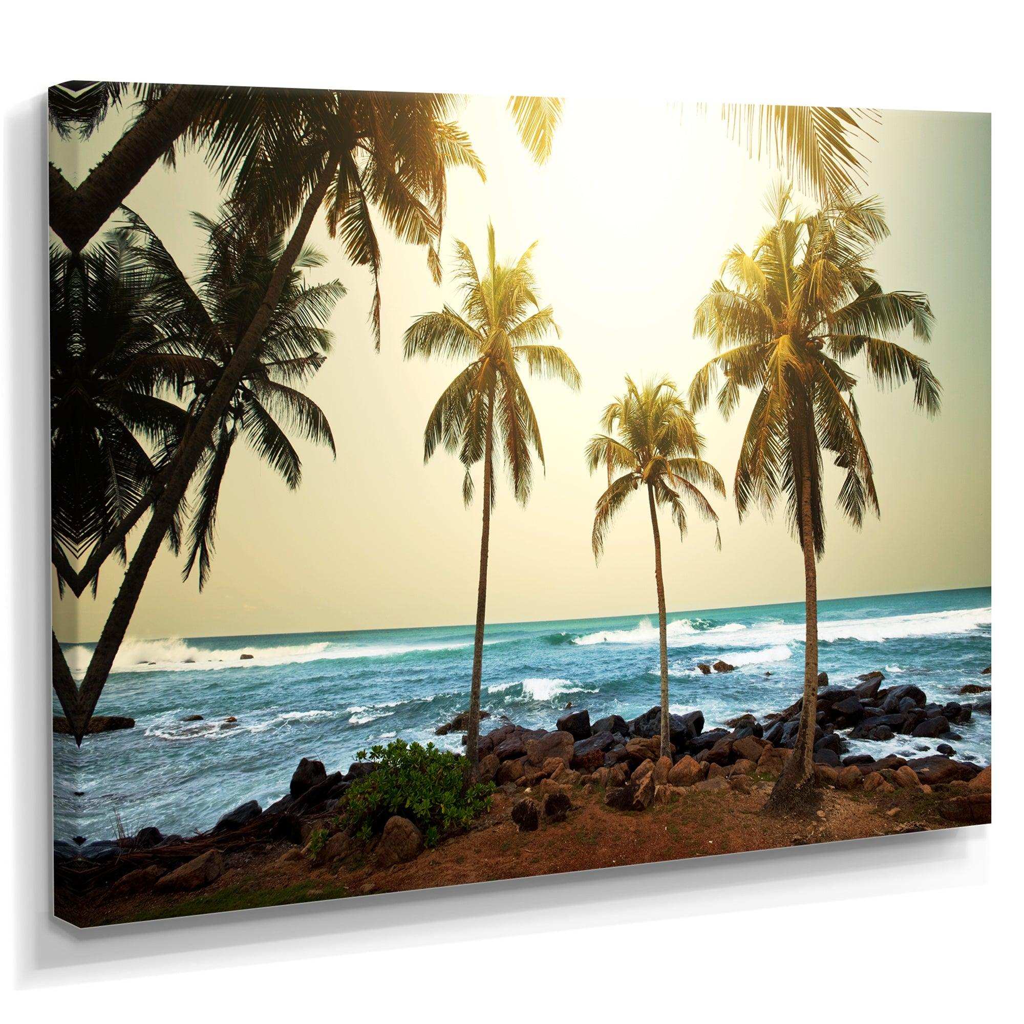 Rocky Tropical Beach with Palms