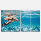 Large Hawksbill Sea Turtle Multi-Panels