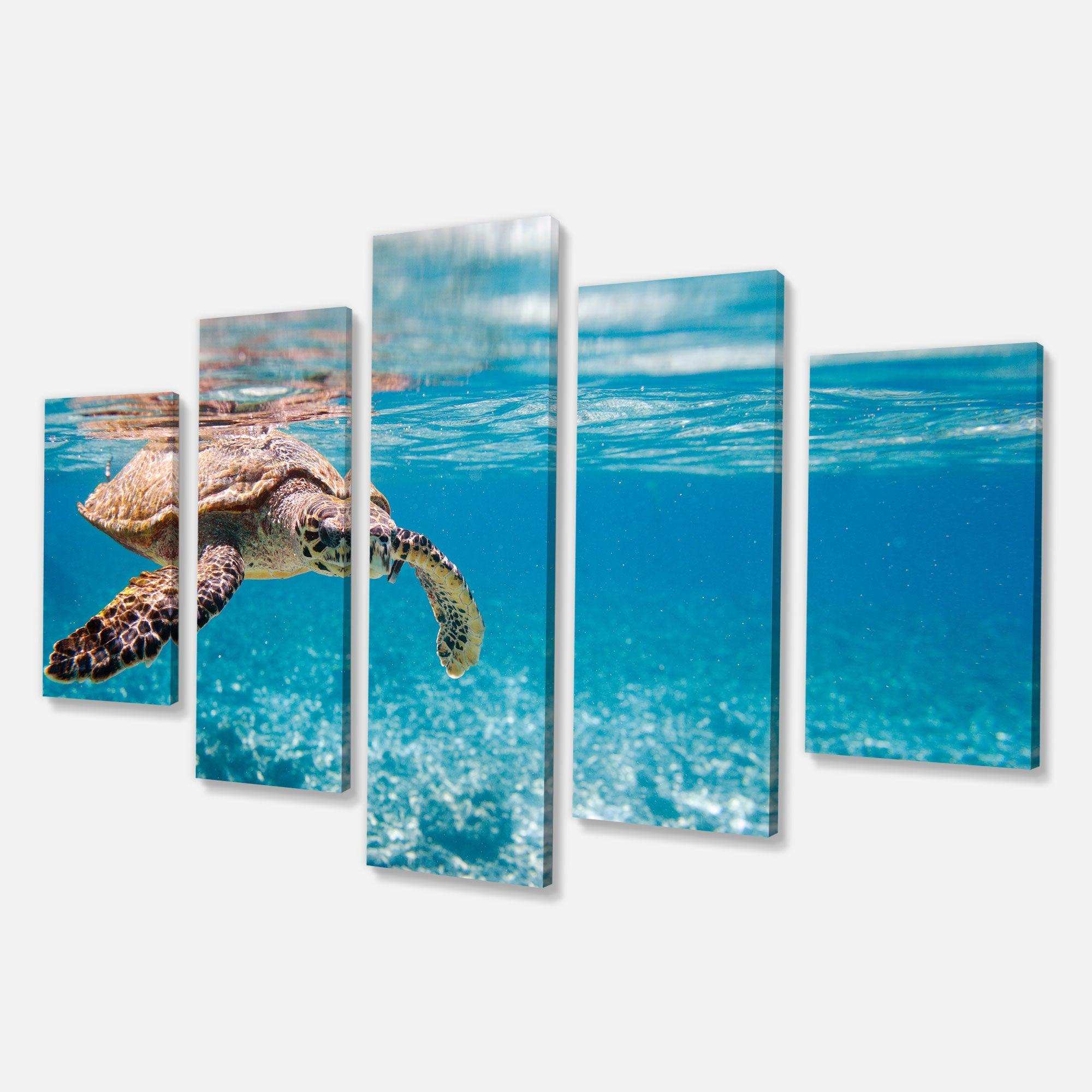 Large Hawksbill Sea Turtle Multi-Panels