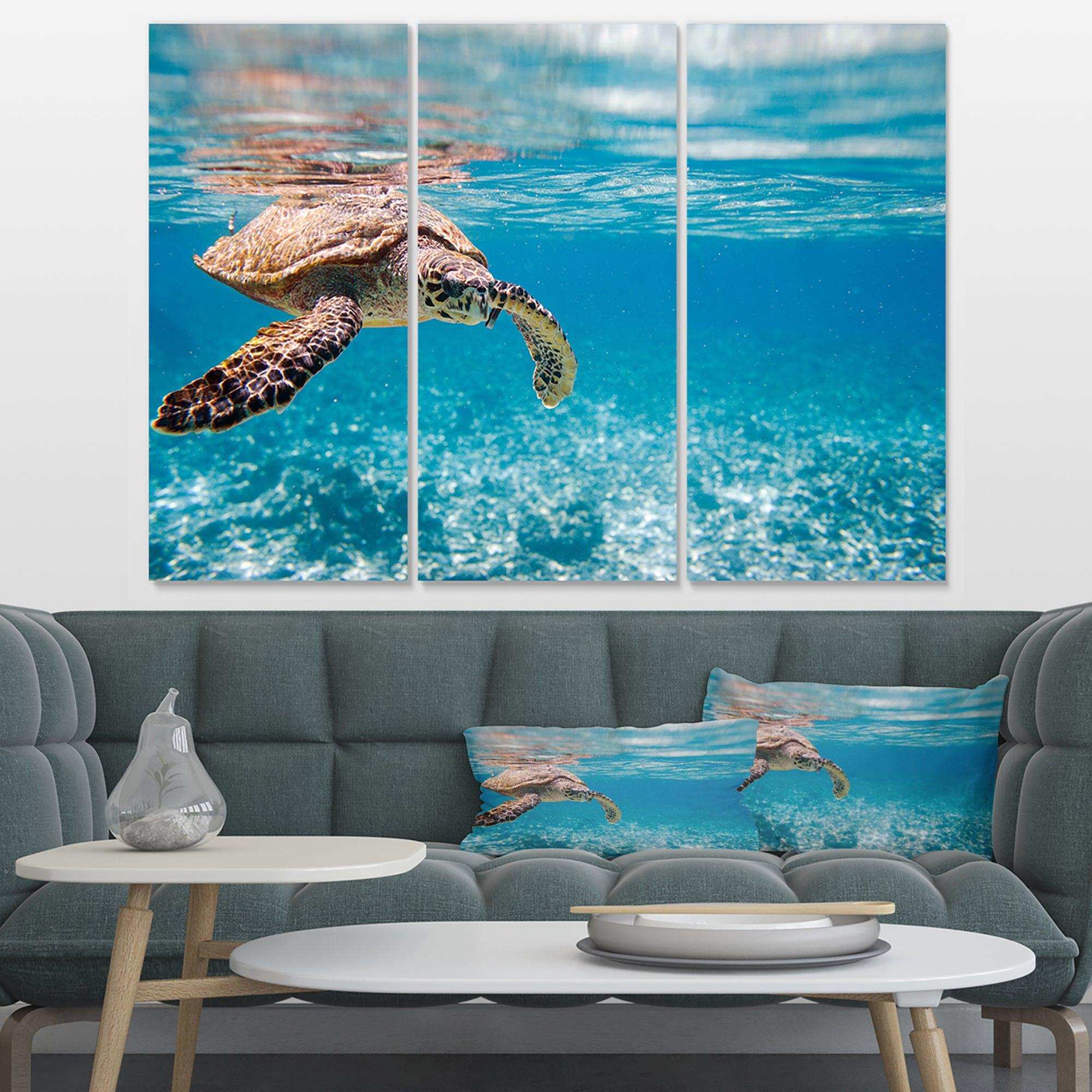 Large Hawksbill Sea Turtle Multi-Panels