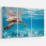 Large Hawksbill Sea Turtle Multi-Panels
