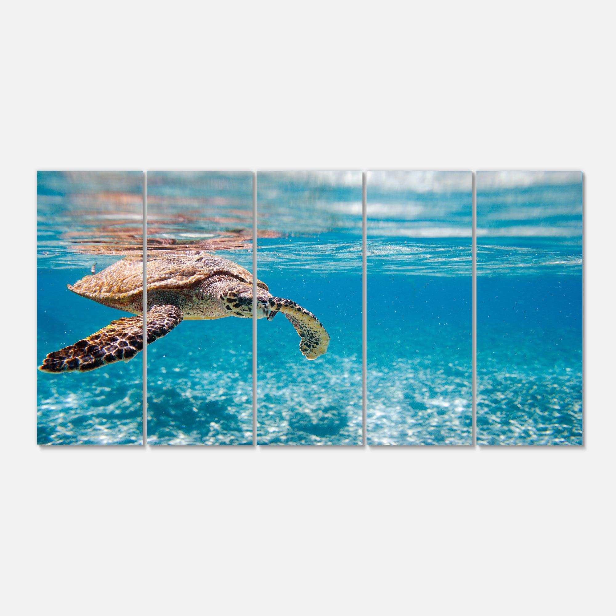 Large Hawksbill Sea Turtle Multi-Panels