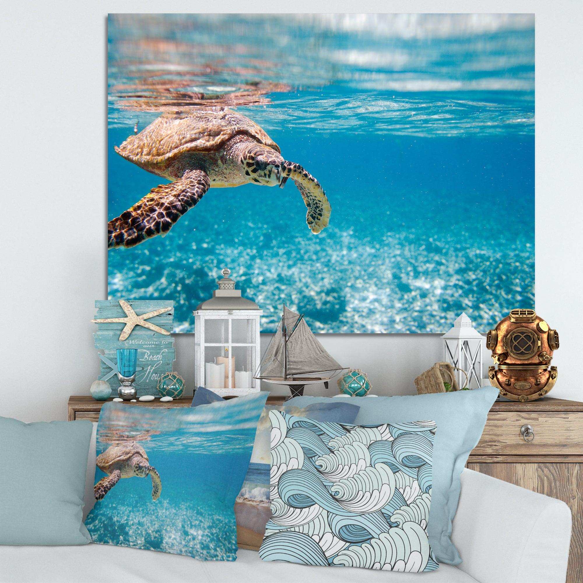 Large Hawksbill Sea Turtle