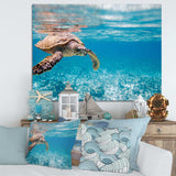 Large Hawksbill Sea Turtle