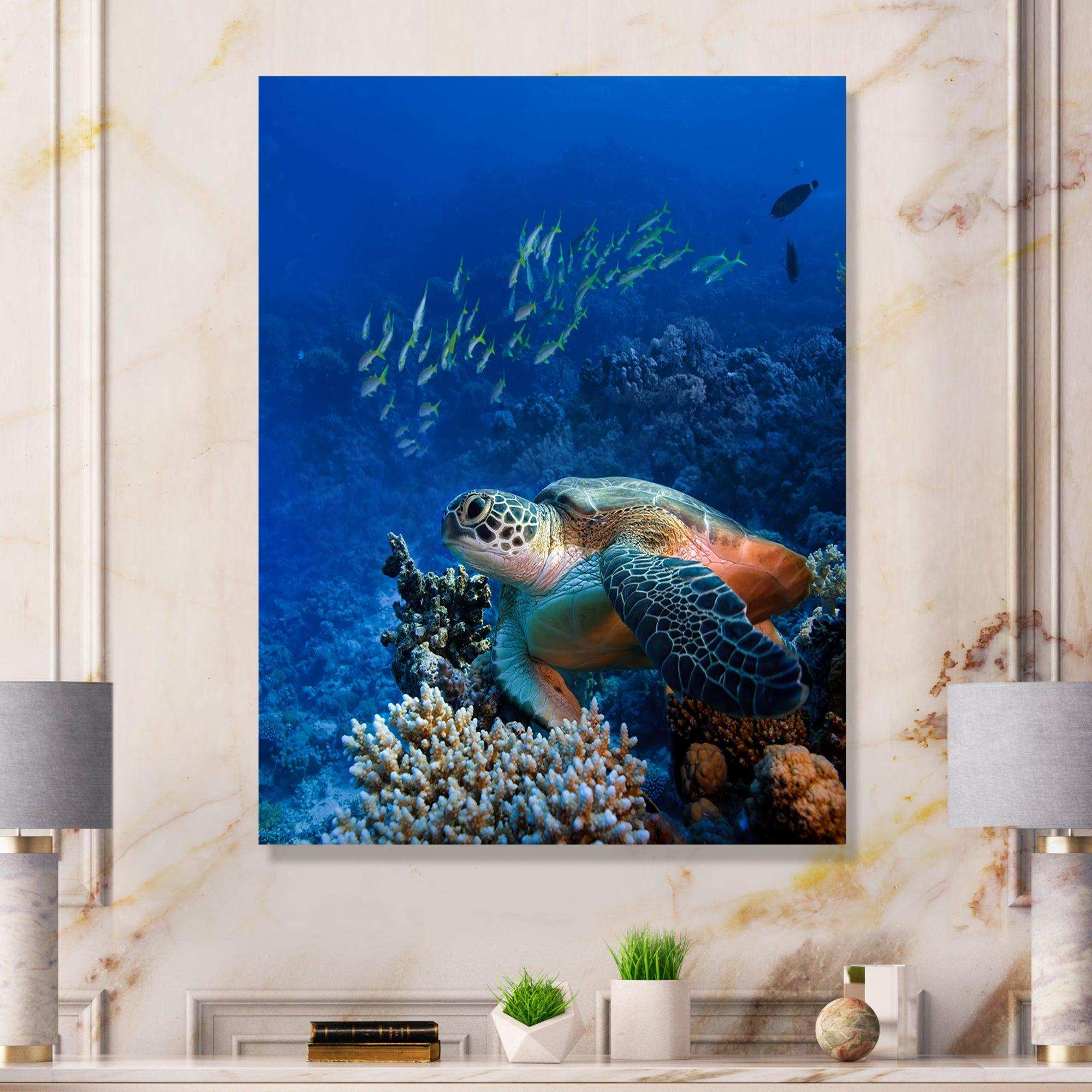 Large Sea Turtle underwater