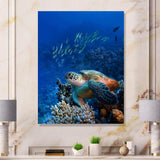 Large Sea Turtle underwater