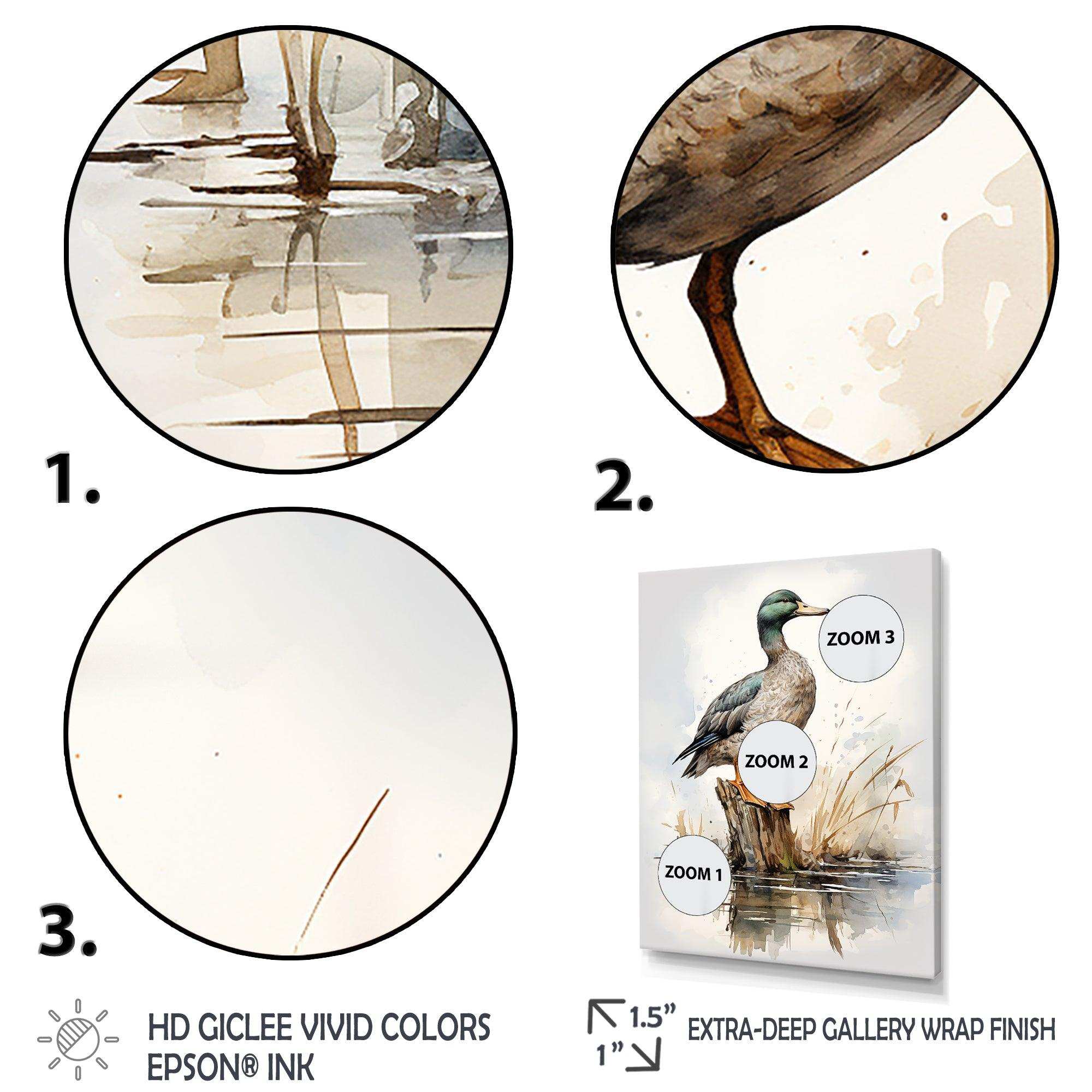 Minimalist Mallard Duck at the pond II - Animals Canvas Wall Art