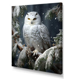 Snowy Owl winter watch I - Animals Canvas Wall Art