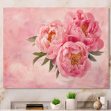 Peony Flowers in Vase on Pink