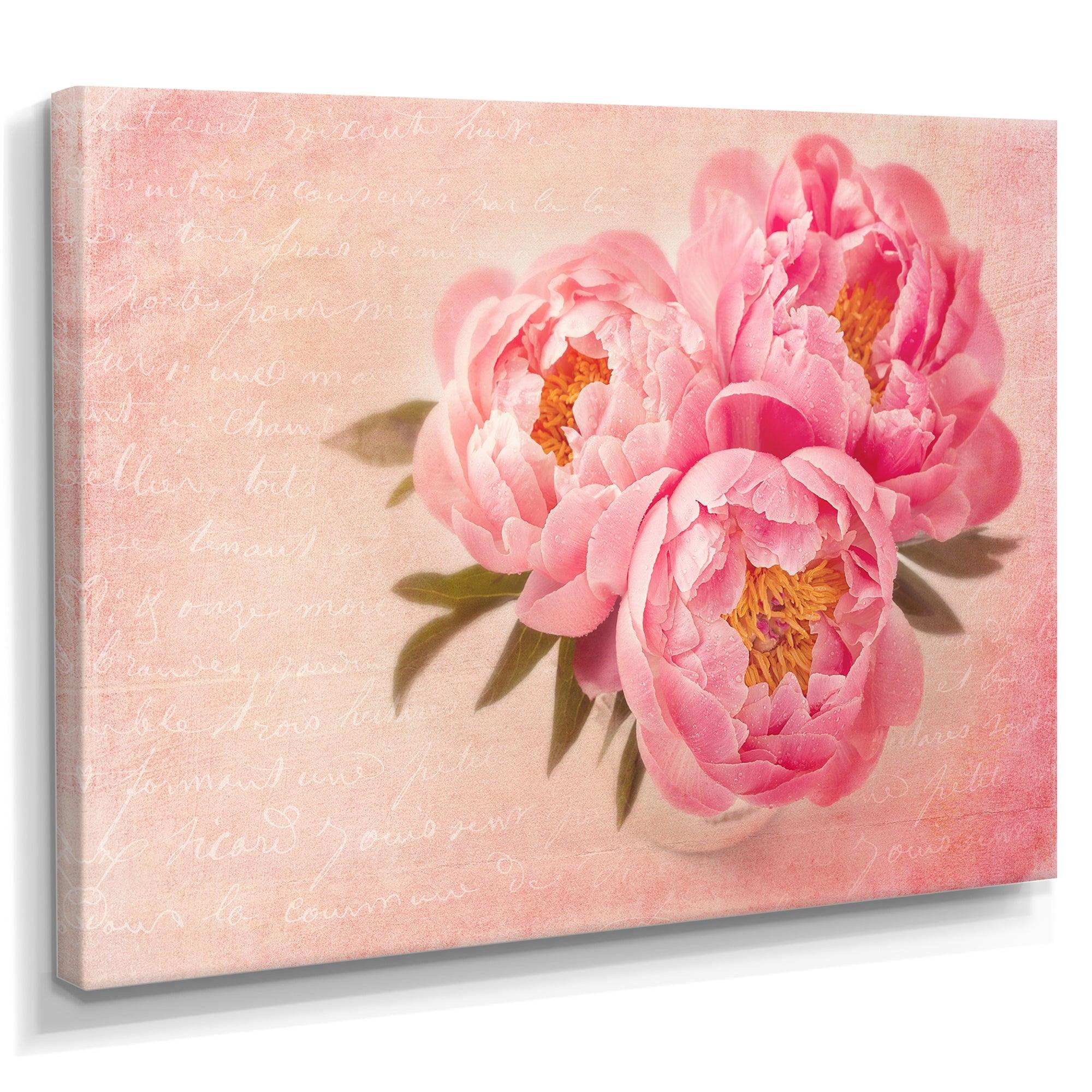 Peony Flowers against Scribbled Back