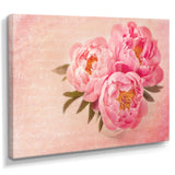 Peony Flowers against Scribbled Back