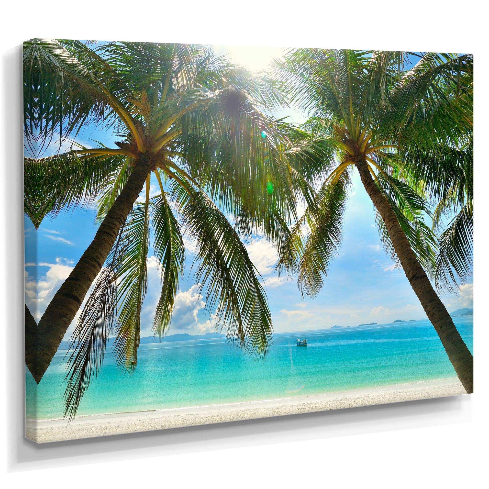 Palm Hanging over Sandy White Beach