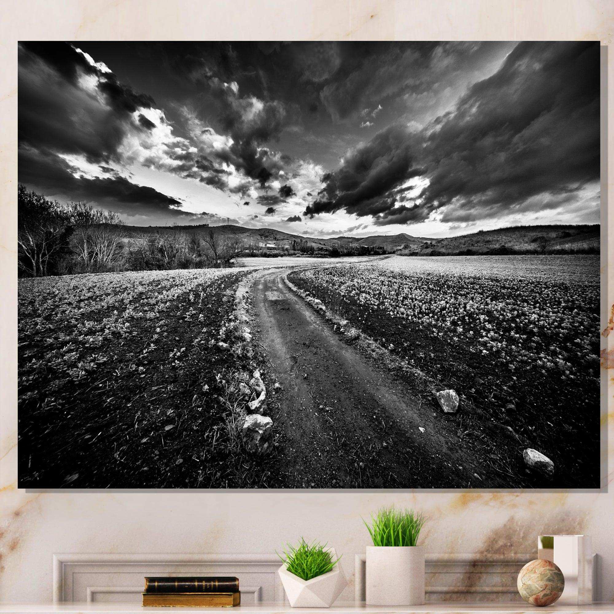 Black White Landscape from Sardinia