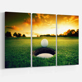Golf Ball Near Hole Multi-Panels