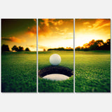 Golf Ball Near Hole Multi-Panels