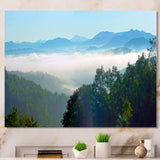 Morning in Blue Ridge Parkway