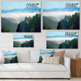 Morning in Blue Ridge Parkway