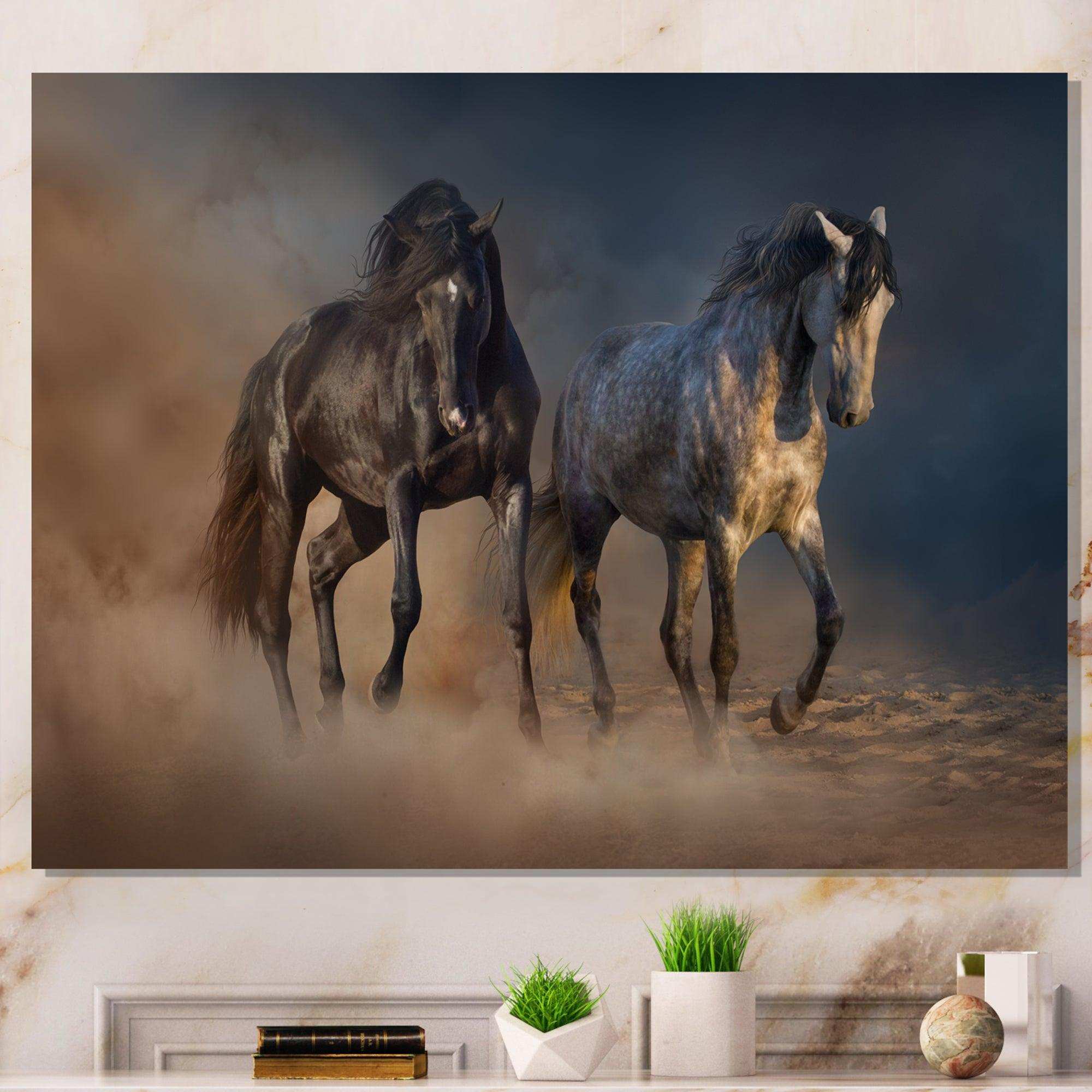 Black and white horse run