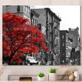Red Tree on Black and White New York City Street