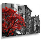 Red Tree on Black and White New York City Street