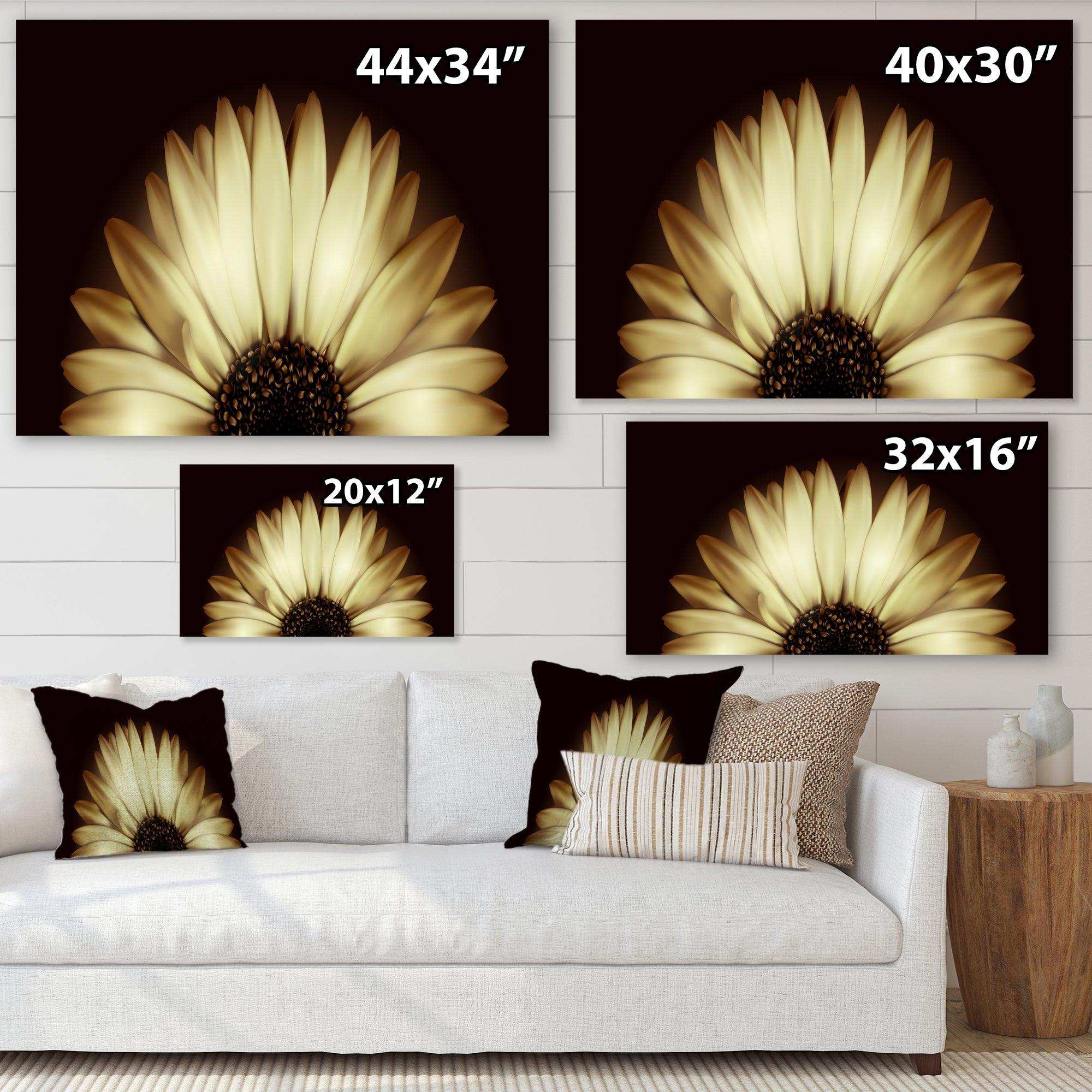 Sunflower in Black background