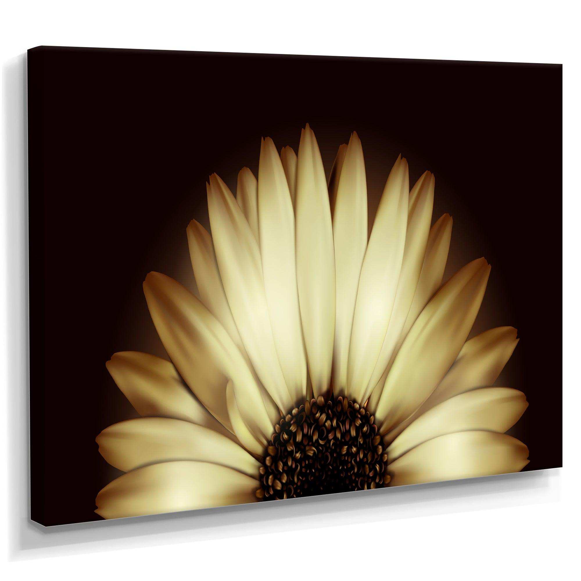 Sunflower in Black background