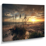 Grassy and beach sunset