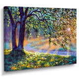 Tree By River First Rays Of Afternoon Sun