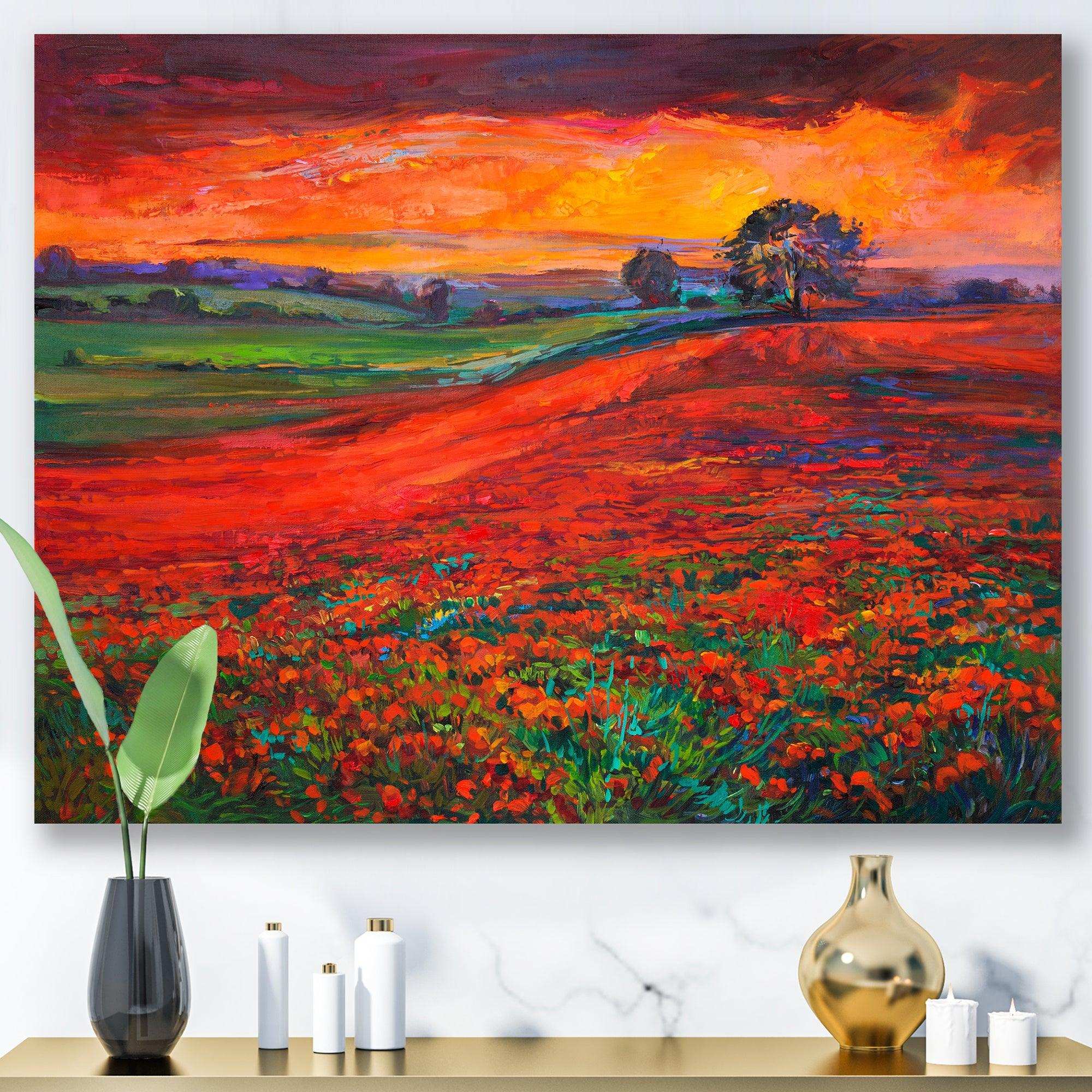 Blossoming Poppy Fields During Summer Sunset