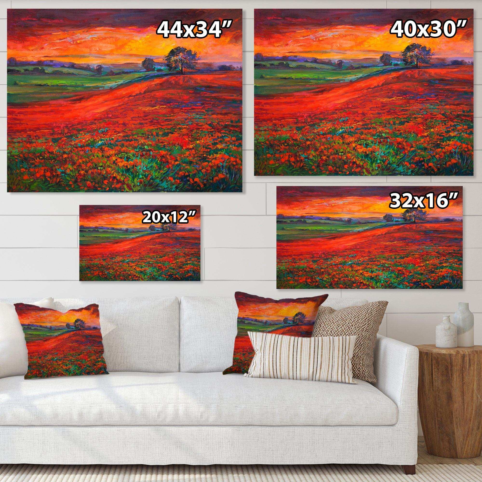 Blossoming Poppy Fields During Summer Sunset