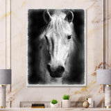 Farmhouse Horse I