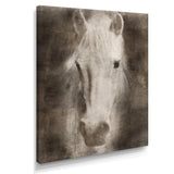 Farmhouse Horse III
