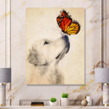 Golden Retriever Dog with Butterfly I