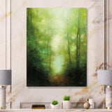 Into the Clearing Forest