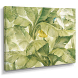 Tropical Canopy II Green