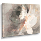 Abstract Peony Grey Canvas Canvas