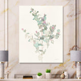 Eucalyptus leaves II