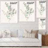 Eucalyptus leaves II