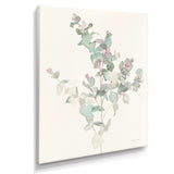 Eucalyptus leaves II