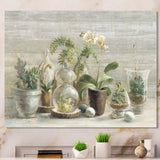 Composition of Orchids