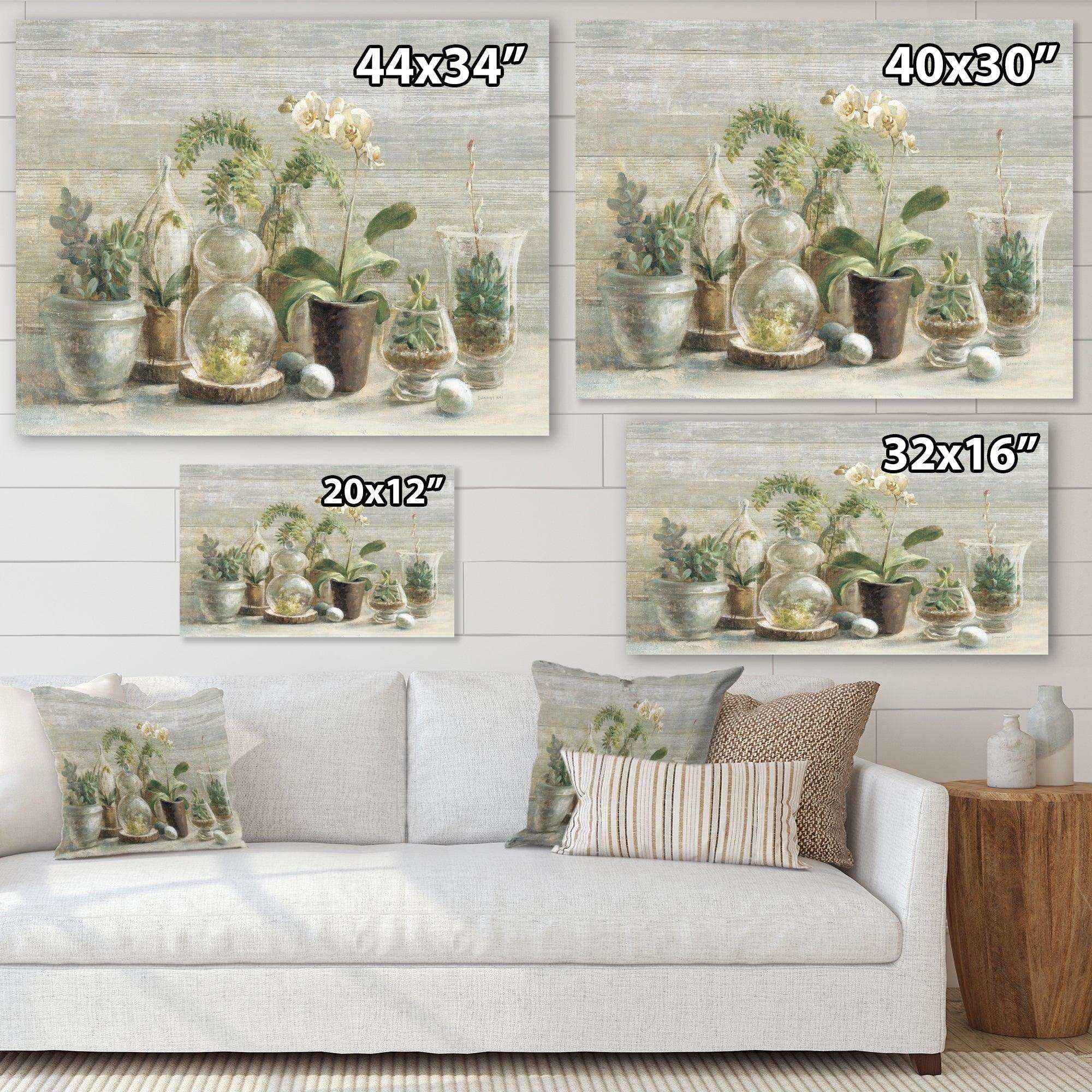 Composition of Orchids