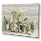 Composition of Orchids