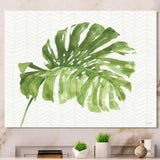 Mixed Botanical Green Leaves V